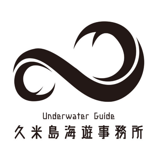 久米島のダイビングショップなら久米島海遊事務所